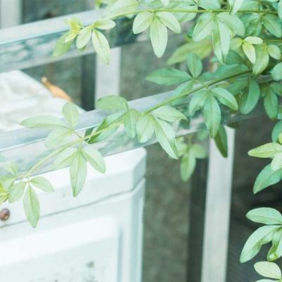 开云电竞手机app下载